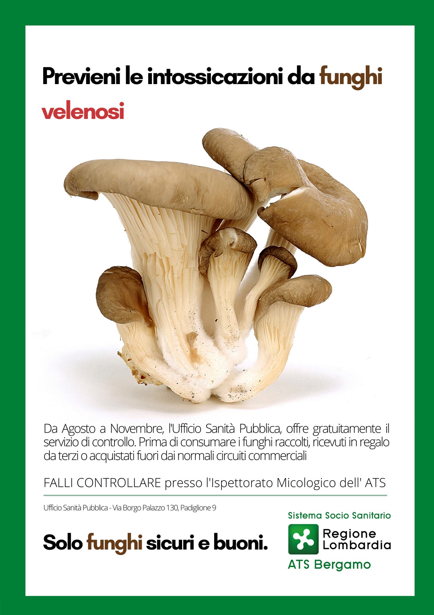 Immagine che raffigura Funghi Sicuri e Buoni - Servizio gratuito di ATS per controllo funghi