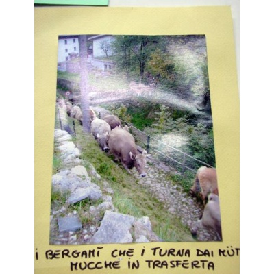 Immagine sulla tradizione