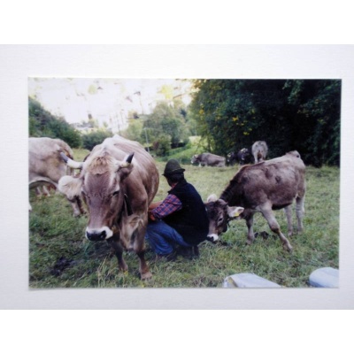 Immagine sulla tradizione