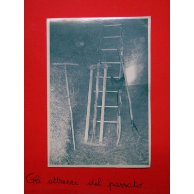 Immagine sulla tradizione