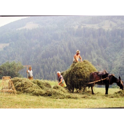 Immagine sulla tradizione