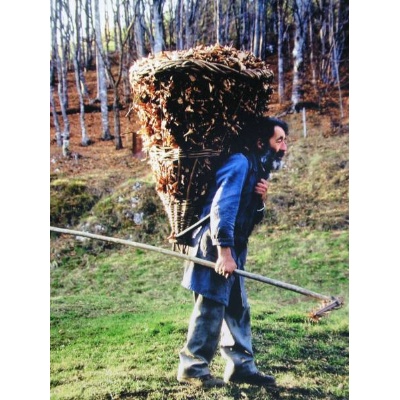 Immagine sulla tradizione